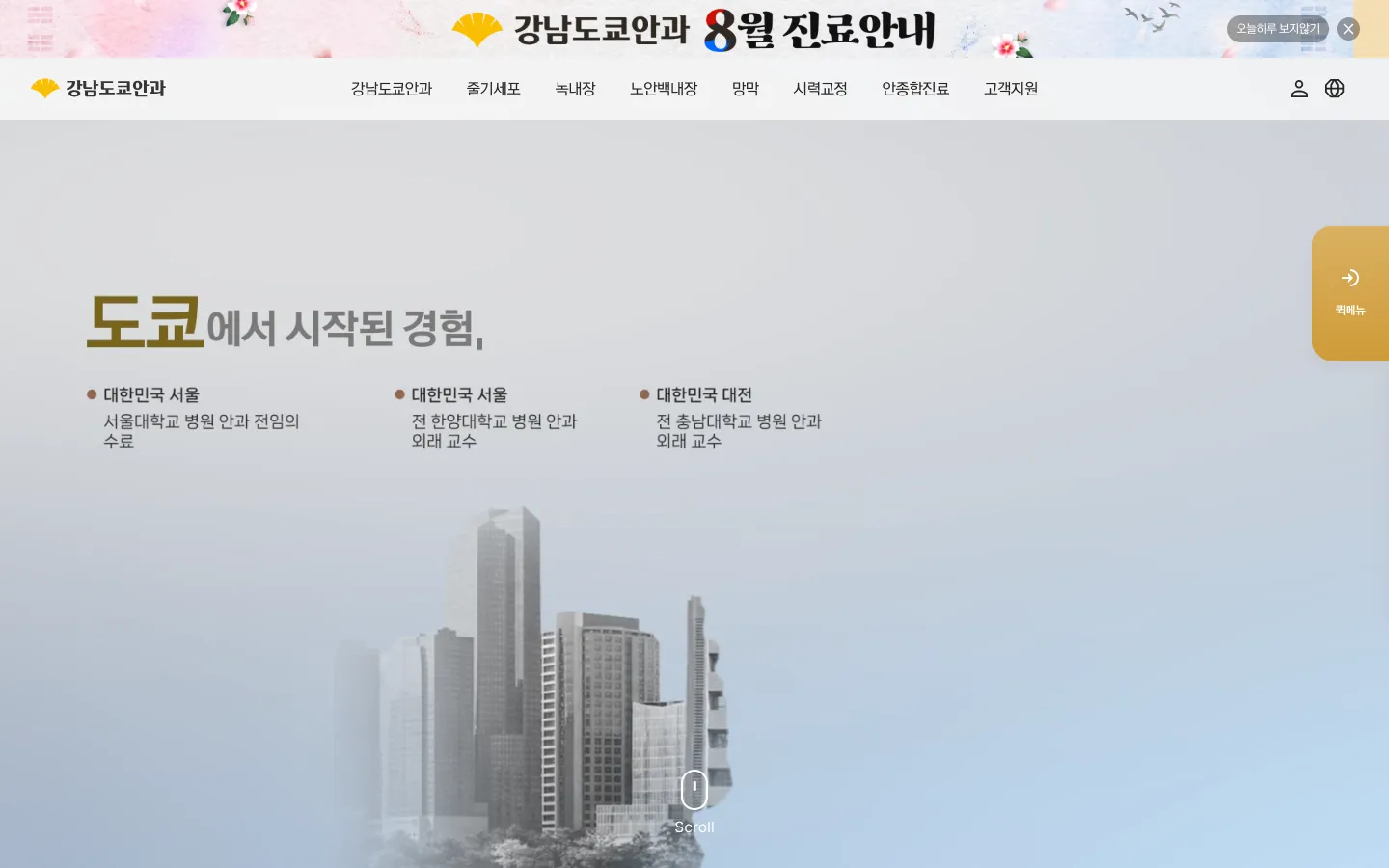 강남도쿄안과 기업·기관 웹사이트 디자인 레퍼런스