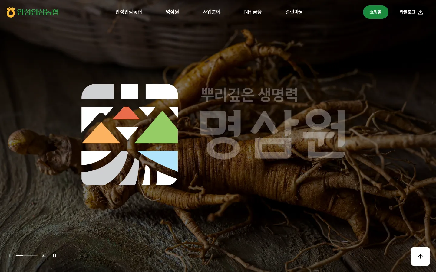 안성인삼농협 명삼원 브랜드 웹사이트 디자인 레퍼런스