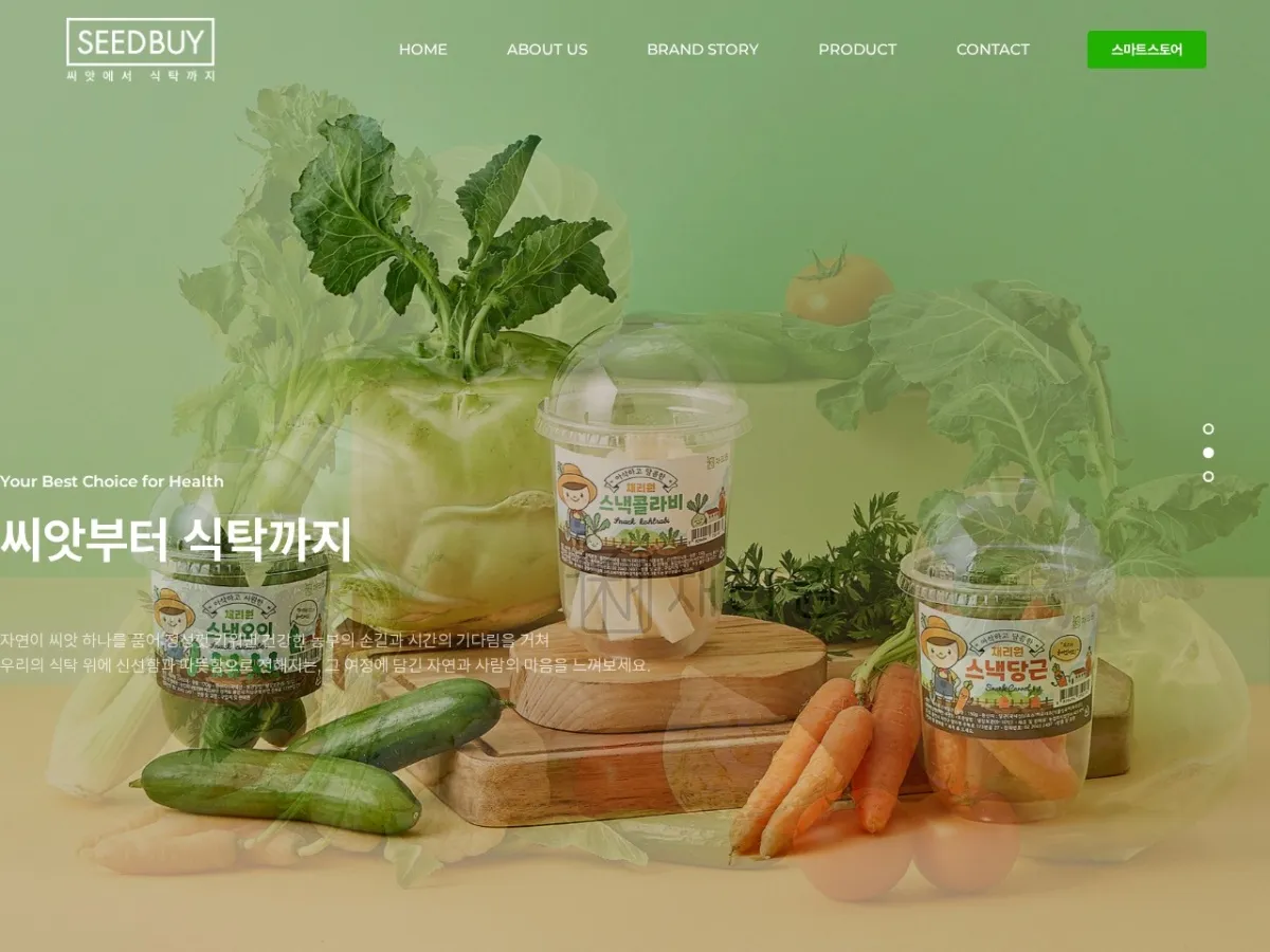 씨드바이 브랜드 웹사이트 디자인 레퍼런스